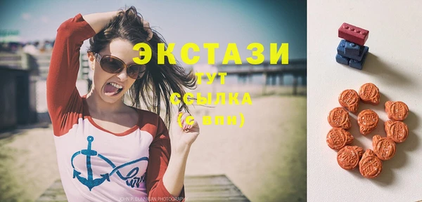 прущие грибы Аркадак