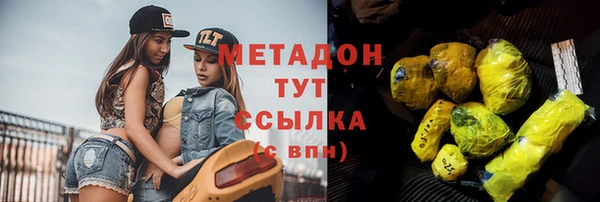 прущие грибы Аркадак