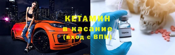 прущие грибы Аркадак