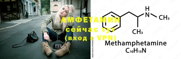 прущие грибы Аркадак
