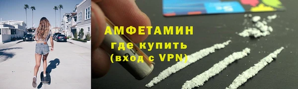 прущие грибы Аркадак