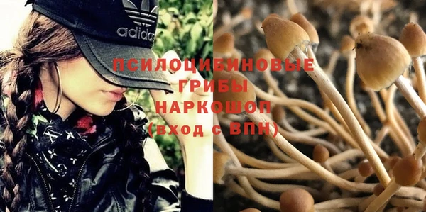 меф Армянск