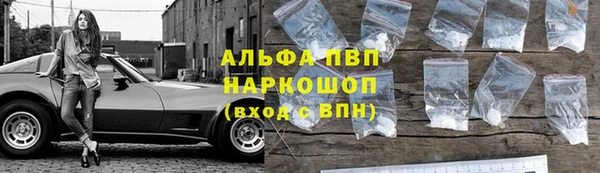прущие грибы Аркадак
