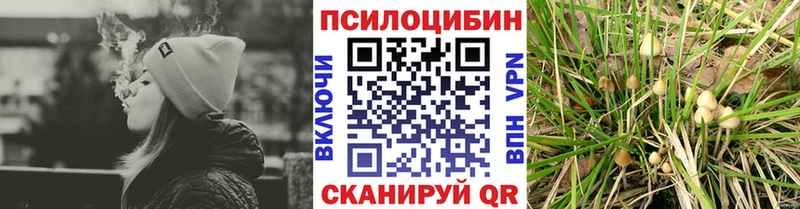 Псилоцибиновые грибы Psilocybe  купить наркоту  Усть-Катав 